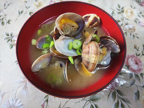 簡単!アサリのお味噌汁♪